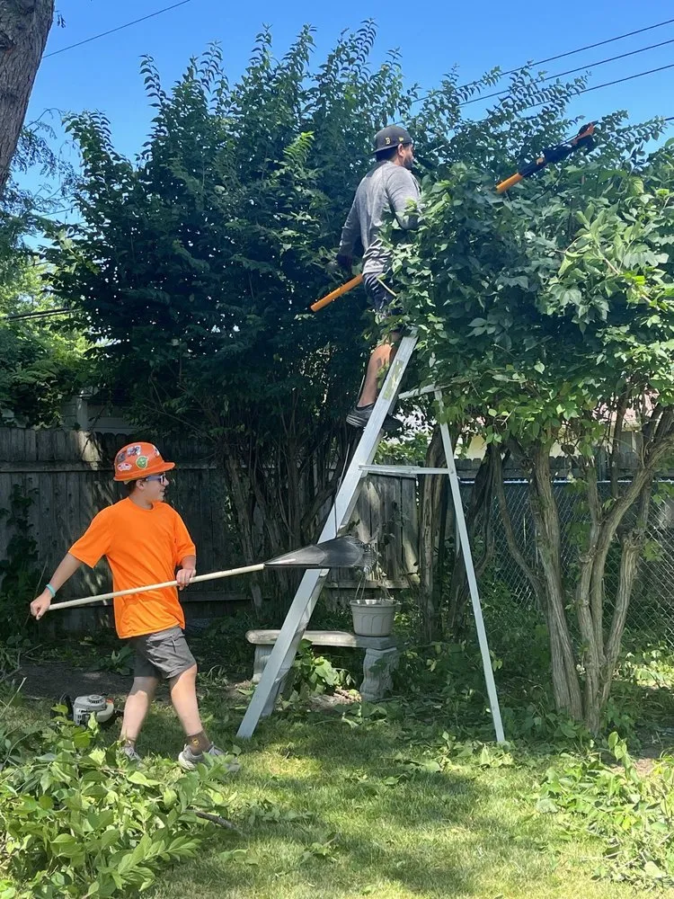 Expert landscape design experts serving Plain City, OH - Ben Preston Landscaping