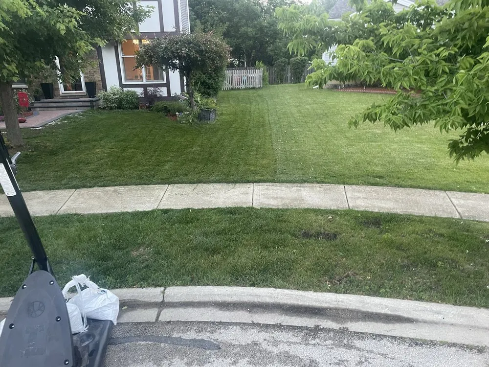 Trusted yard cleanup service for homes across Schaumburg, IL - Ben Ruiz