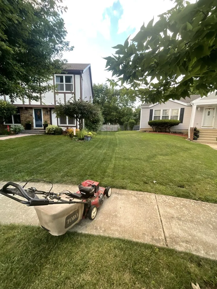 Affordable yard maintenance for residential properties in Schaumburg, IL by Ben Ruiz