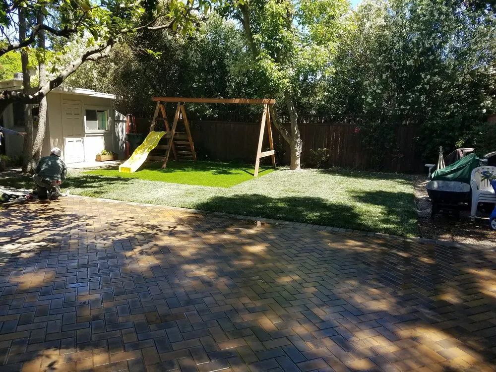 Expert yard cleanup service in Redwood City, CA - Ben Ruiz Tree & Landscaping Contractor