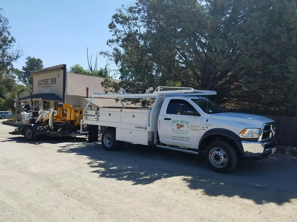 Affordable garden landscaping for outdoor upgrades across Redwood City, CA - Ben Ruiz Tree & Landscaping Contractor