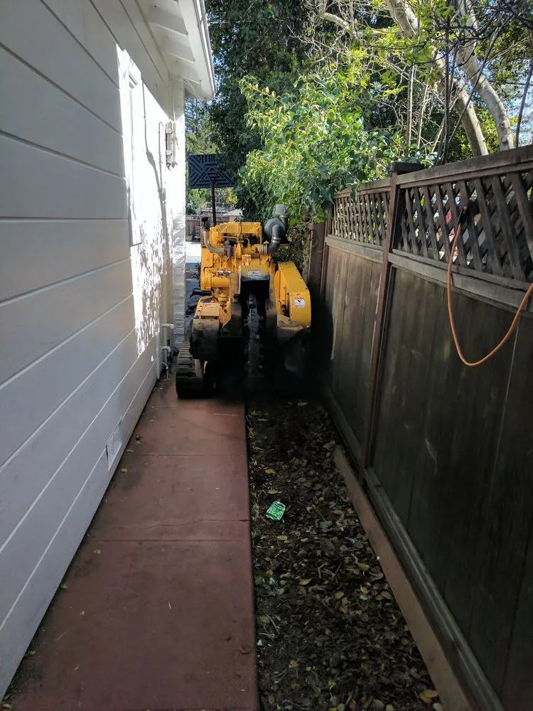 Top-rated landscaping services for beautiful yards in Redwood City, CA by Ben Ruiz Tree & Landscaping Contractor