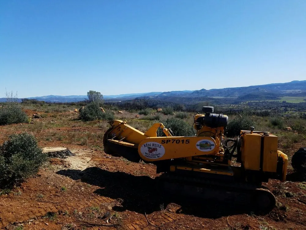 Custom garden landscaping experts serving Redwood City, CA - Ben Ruiz Tree & Landscaping Contractor