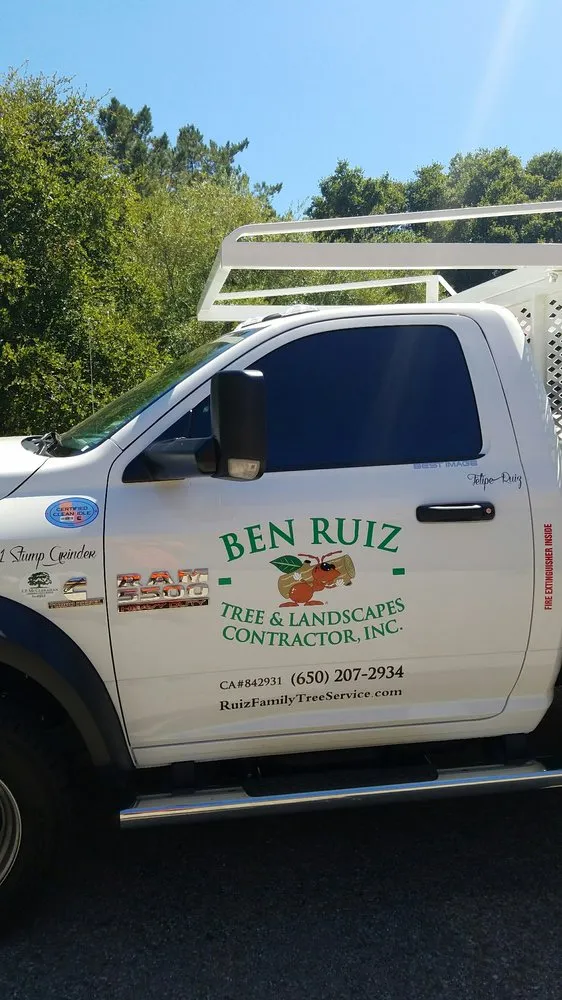 Professional yard cleanup service in Redwood City, CA - Ben Ruiz Tree & Landscaping Contractor