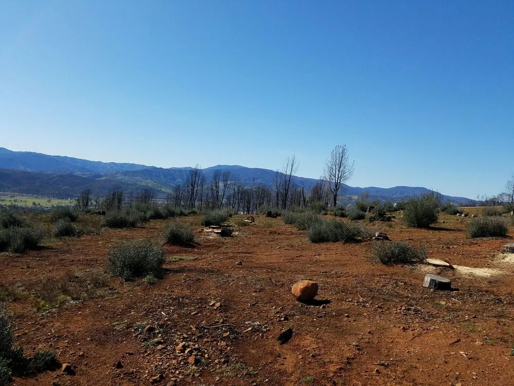 Reliable garden landscaping near you across Redwood City, CA - Ben Ruiz Tree & Landscaping Contractor