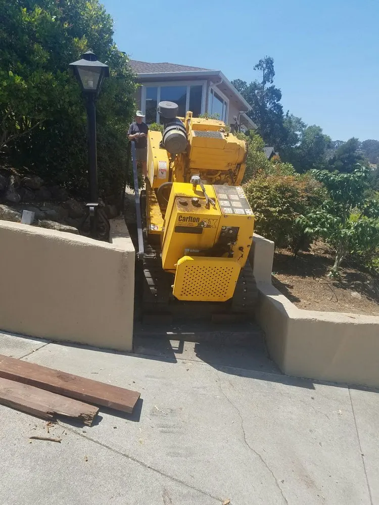 Affordable residential landscaping experts serving Redwood City, CA - Ben Ruiz Tree & Landscaping Contractor