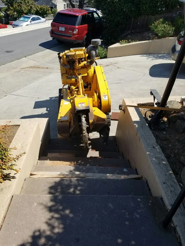 Reliable outdoor landscaping near you in Redwood City, CA by Ben Ruiz Tree & Landscaping Contractor