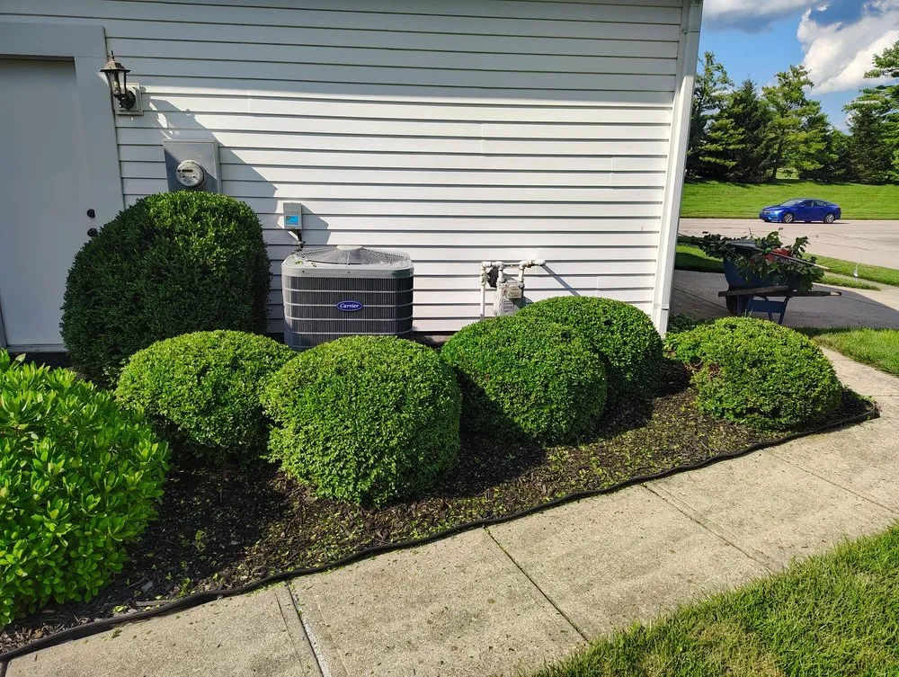 Professional yard maintenance experts serving Lebanon, OH - Ben Torres Landscaping