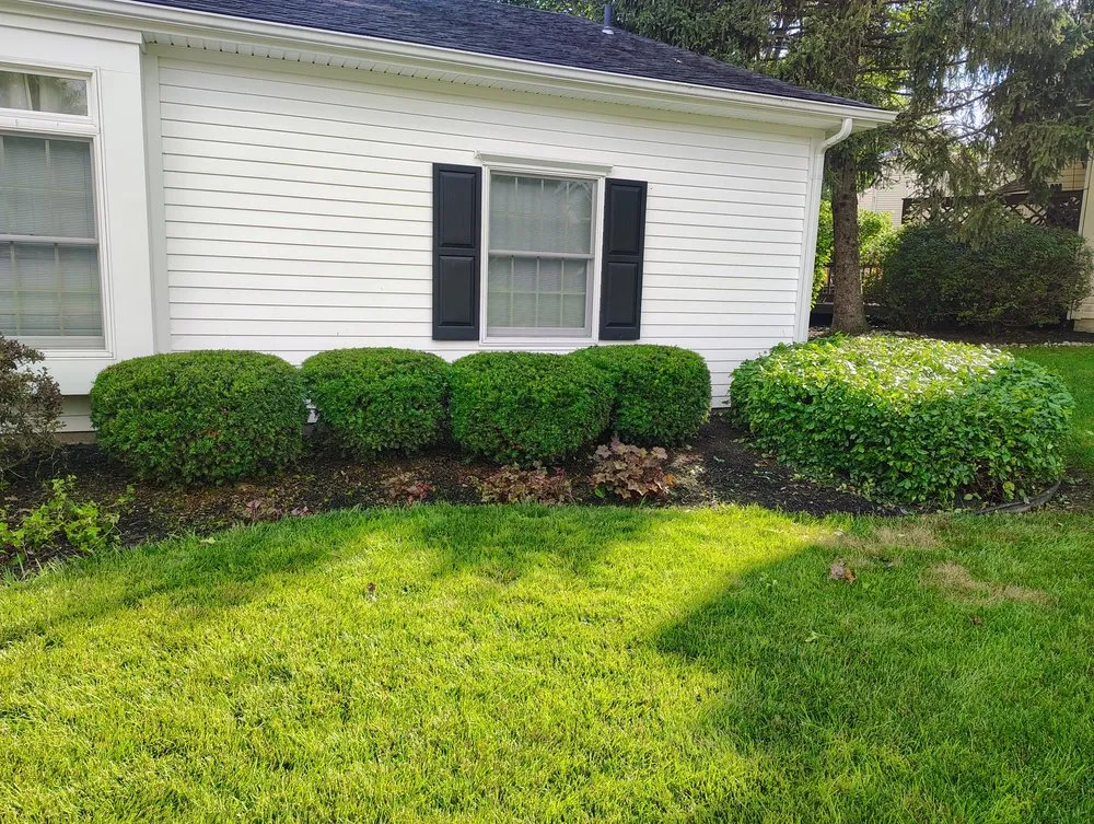Local lawn care service in Lebanon, OH by Ben Torres Landscaping