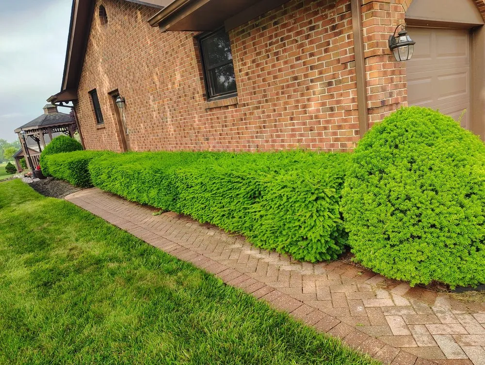 Trusted lawn care service experts serving Lebanon, OH - Ben Torres Landscaping