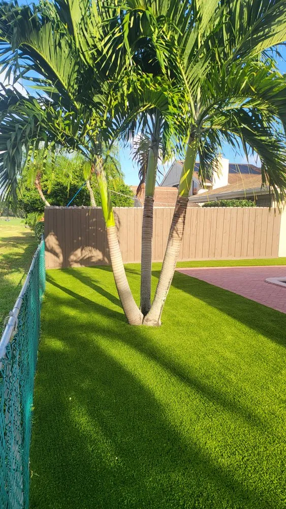 Reliable residential landscaping experts serving Pembroke Pines, FL - Ben Turf Landscaping