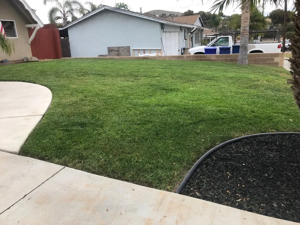 Affordable landscape design in Spring Valley, CA by Benavides Gardening