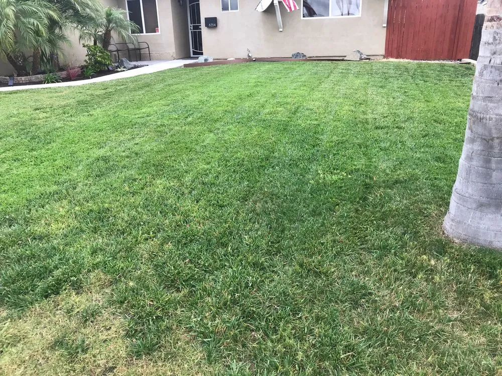 Reliable garden landscaping in Spring Valley, CA - Benavides Gardening