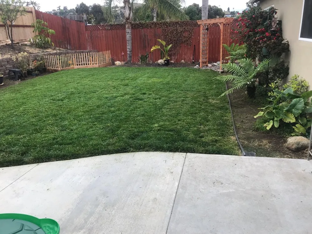 Affordable yard maintenance in Spring Valley, CA - Benavides Gardening