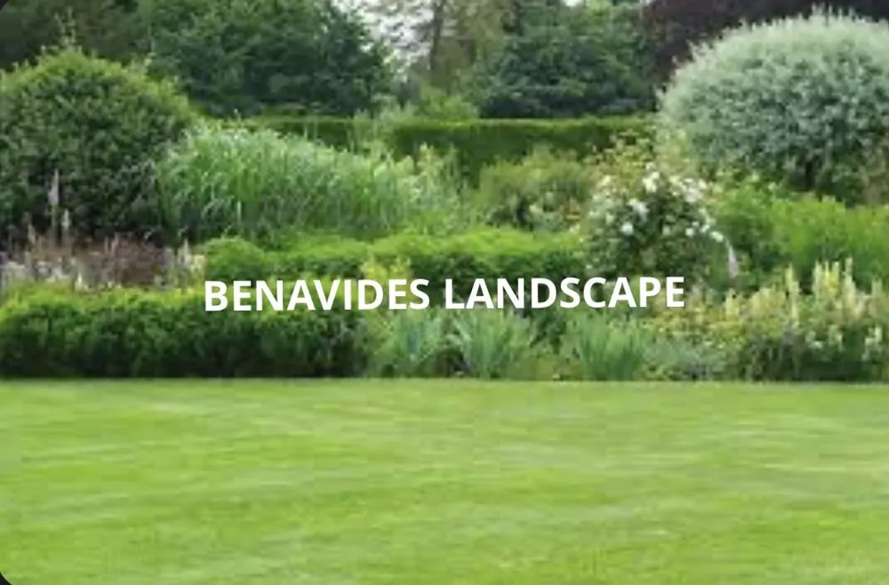 Local lawn care service in Garland, TX - Benavides Landscaping