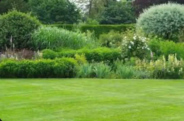 Benavides Landscaping Logo