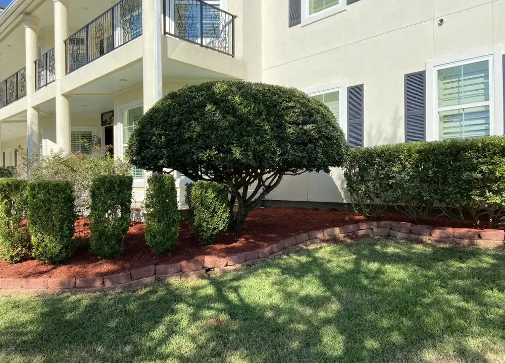 Trusted landscape design in Houston, TX - Benavides Lawn Services