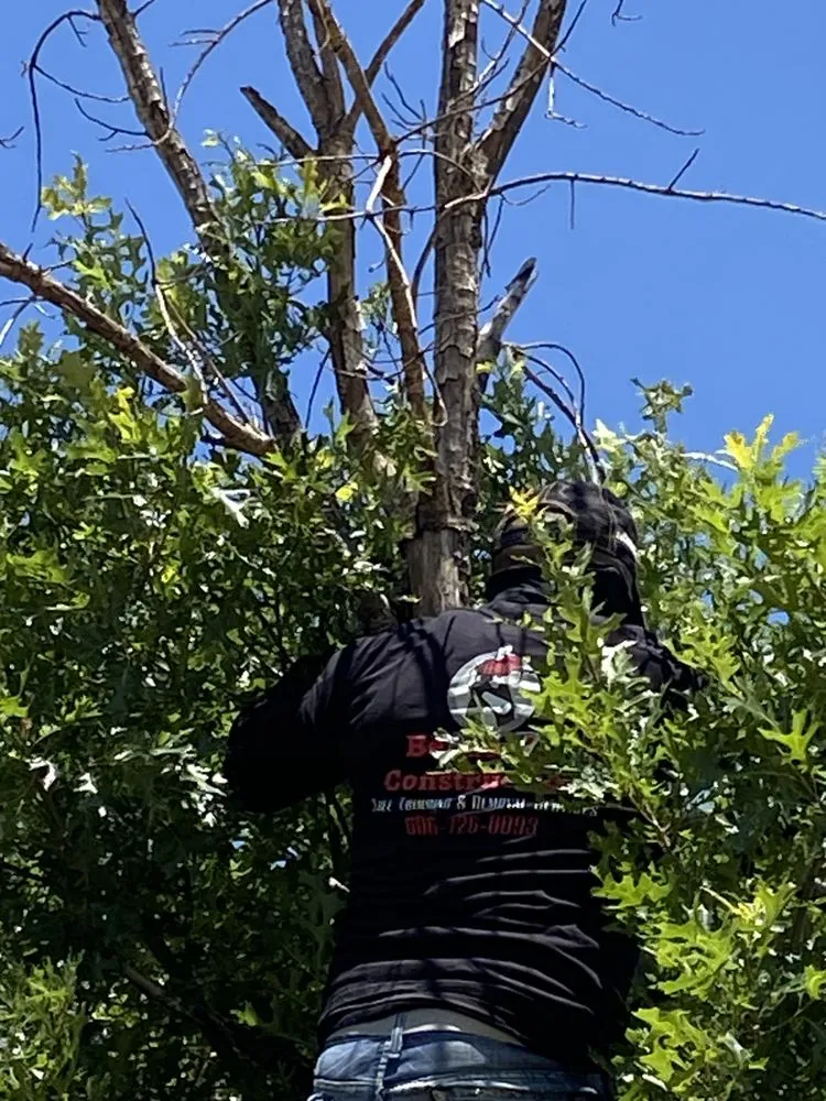 Reliable garden landscaping experts serving Lubbock, TX - Benavides Tree Trimming & Removal