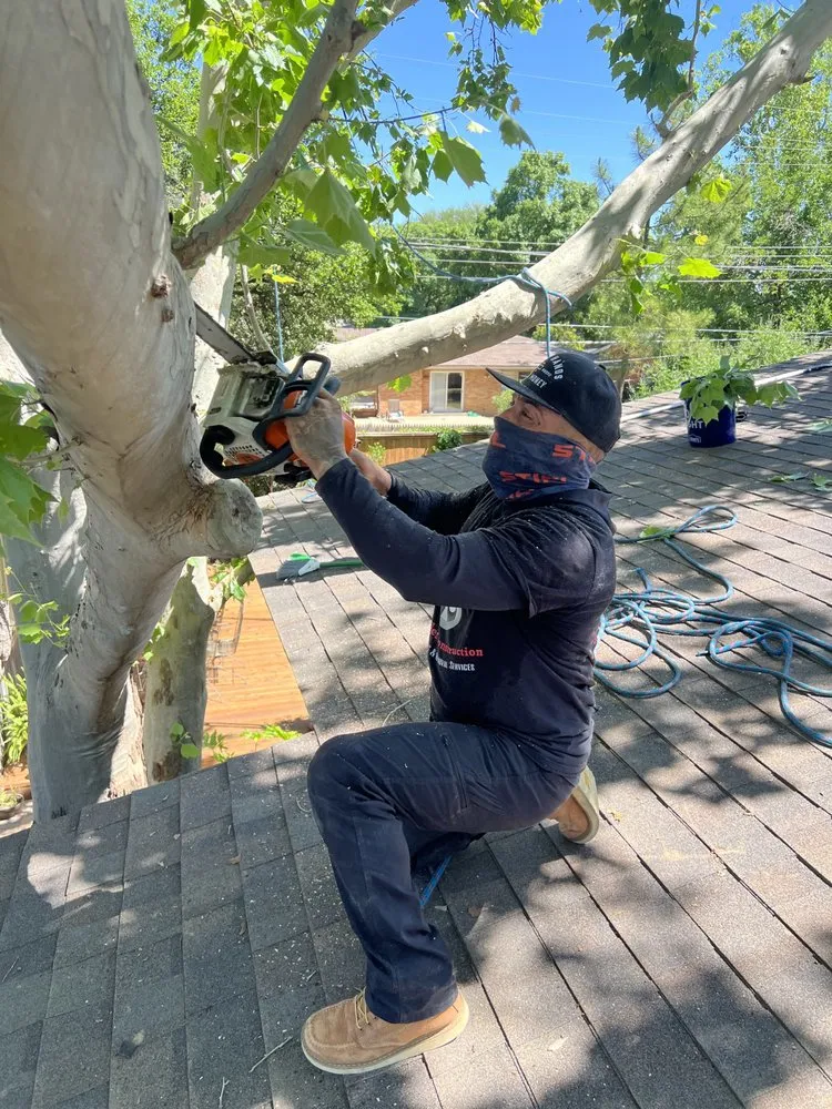 Custom landscape installation experts serving Lubbock, TX - Benavides Tree Trimming & Removal