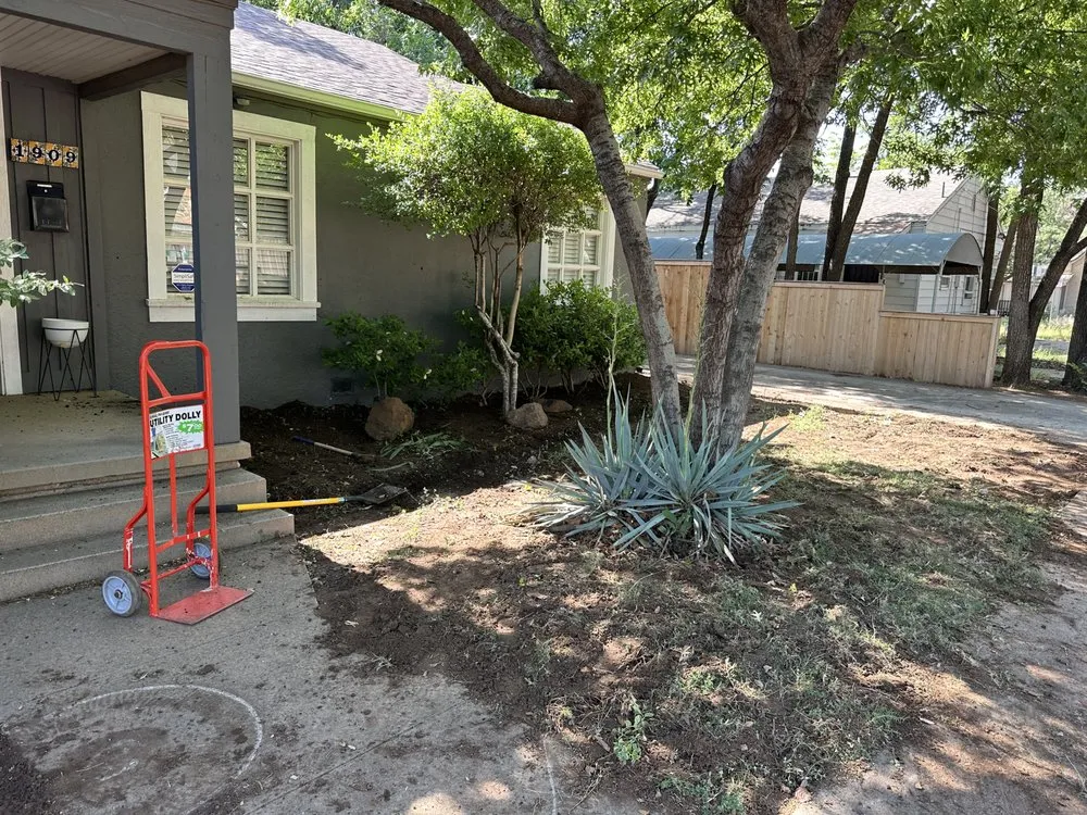 Affordable yard cleanup service in Lubbock, TX by Benavides Tree Trimming & Removal