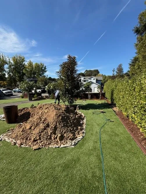 Top-rated landscaping services near you across Richmond, CA - Benavidez Landscaping Services