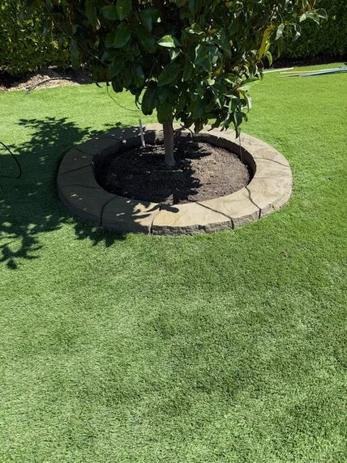 Top-rated landscaping services in Richmond, CA by Benavidez Landscaping Services