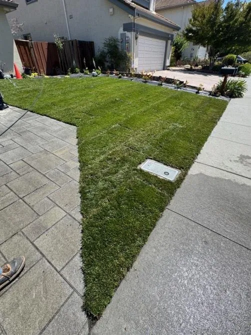 Expert lawn care service for outdoor upgrades in Richmond, CA by Benavidez Landscaping Services
