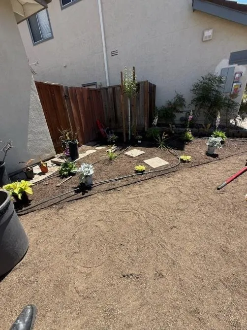 Top-rated residential landscaping for year-round maintenance in Richmond, CA by Benavidez Landscaping Services