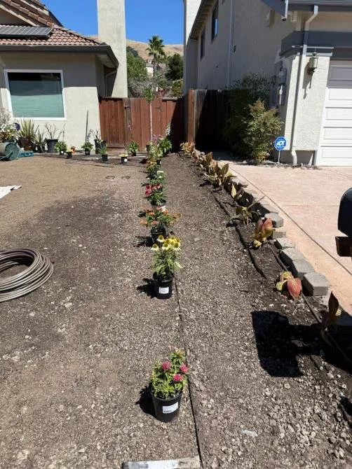 Local landscape design for year-round maintenance in Richmond, CA by Benavidez Landscaping Services