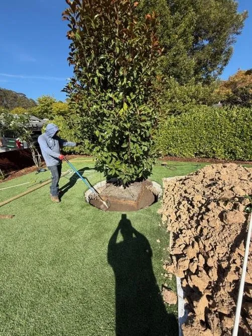 Expert residential landscaping experts serving Richmond, CA - Benavidez Landscaping Services