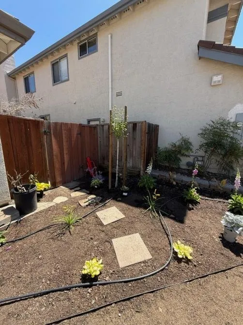 Custom yard maintenance experts serving Richmond, CA - Benavidez Landscaping Services