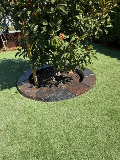 Reliable landscaping services experts serving Richmond, CA - Benavidez Landscaping Services