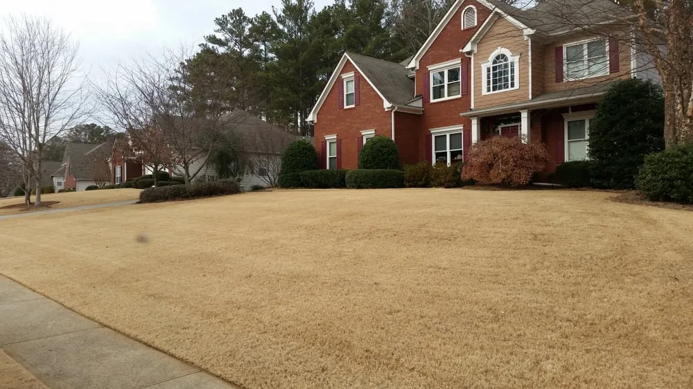 Reliable yard maintenance experts serving Kennesaw, GA - Bence Lawn Care