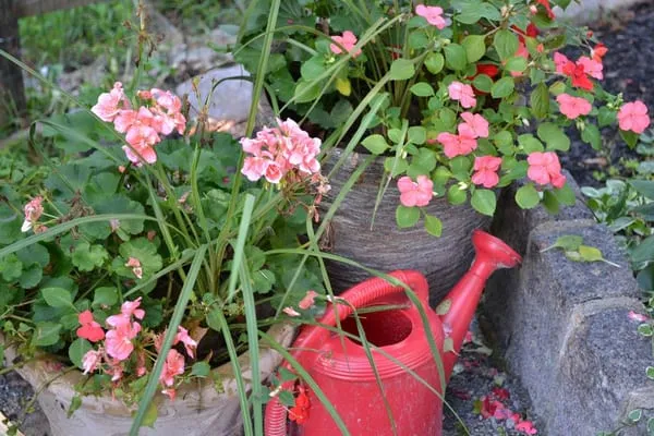 Benchmark Landscaping Logo