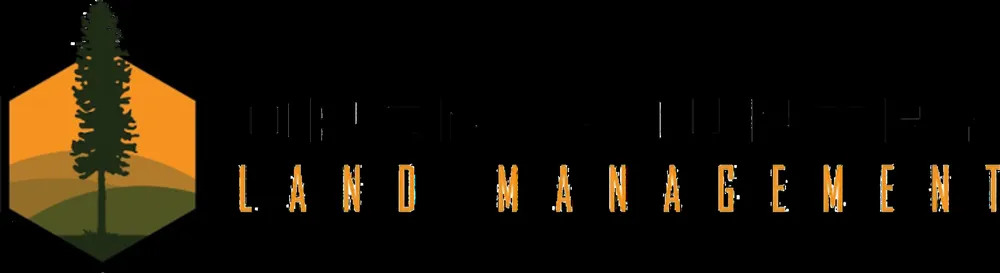 Trusted landscaping services for outdoor upgrades in Tyler, TX by Benchmark Landscaping