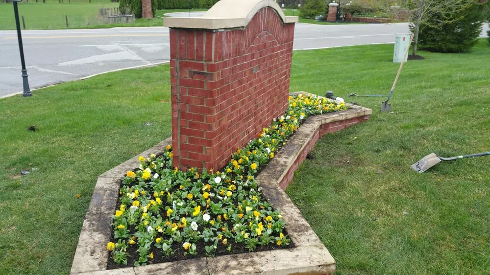 Top-rated yard cleanup service in Indianapolis, IN - Benchmark Property Services