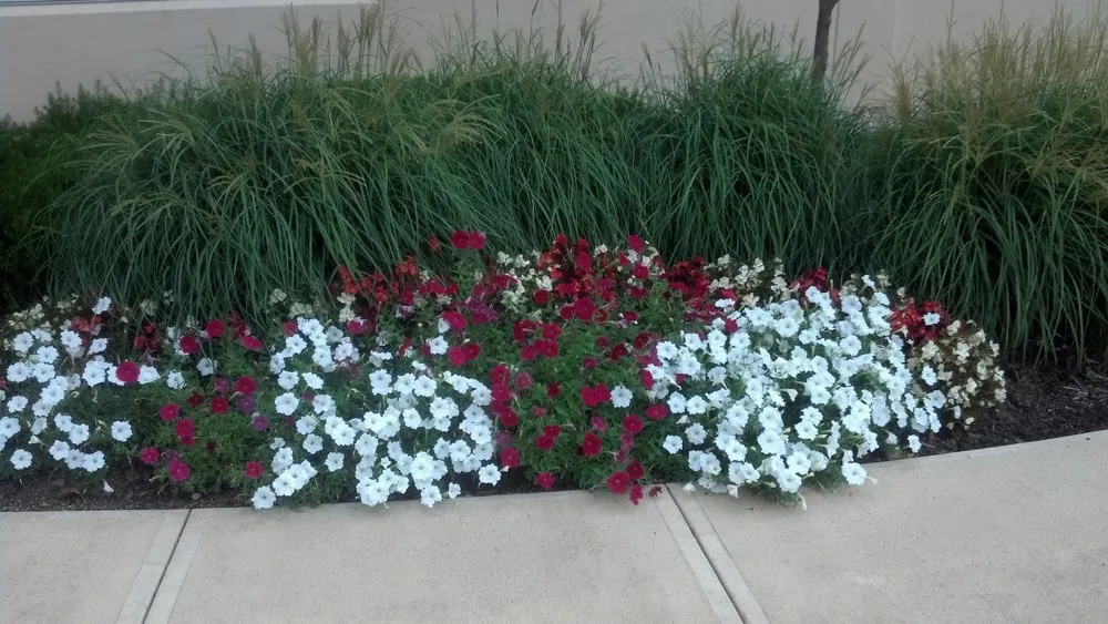 Local outdoor landscaping in Indianapolis, IN - Benchmark Property Services