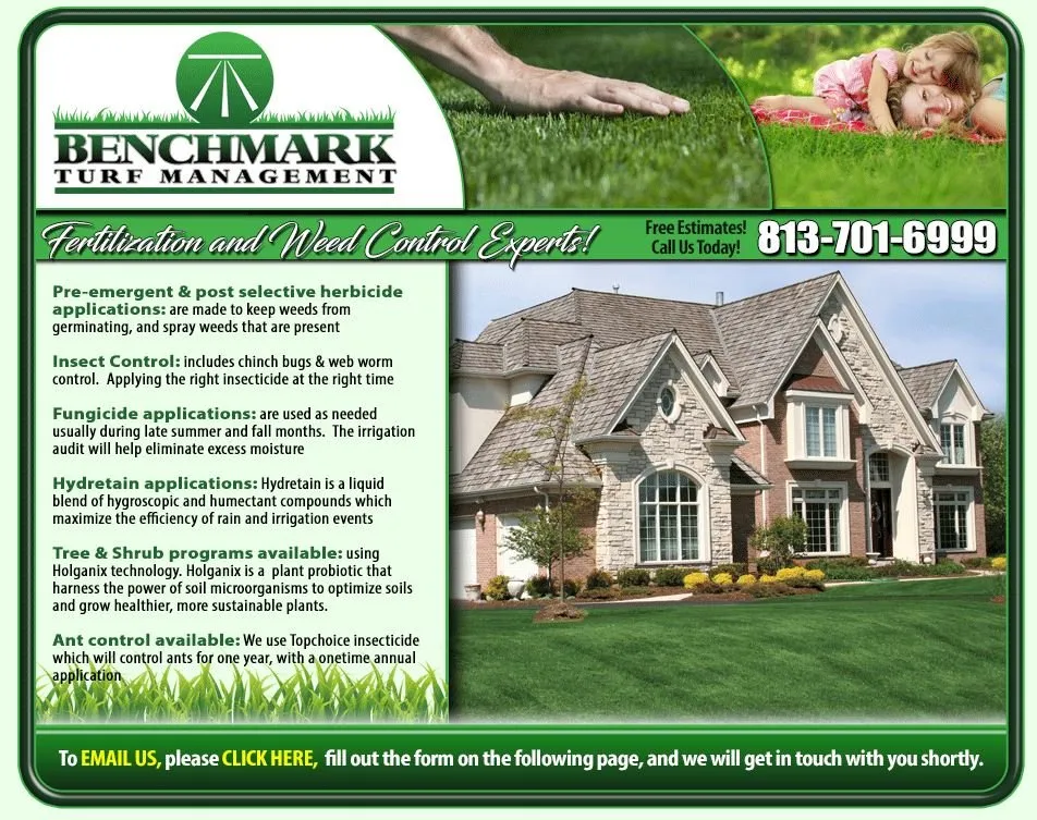 Reliable yard cleanup service in Wesley Chapel, FL - Benchmark Turf Management