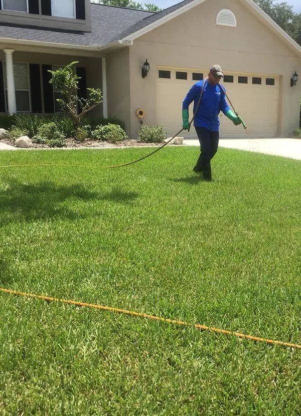 Local yard maintenance for outdoor upgrades in Wesley Chapel, FL by Benchmark Turf Management