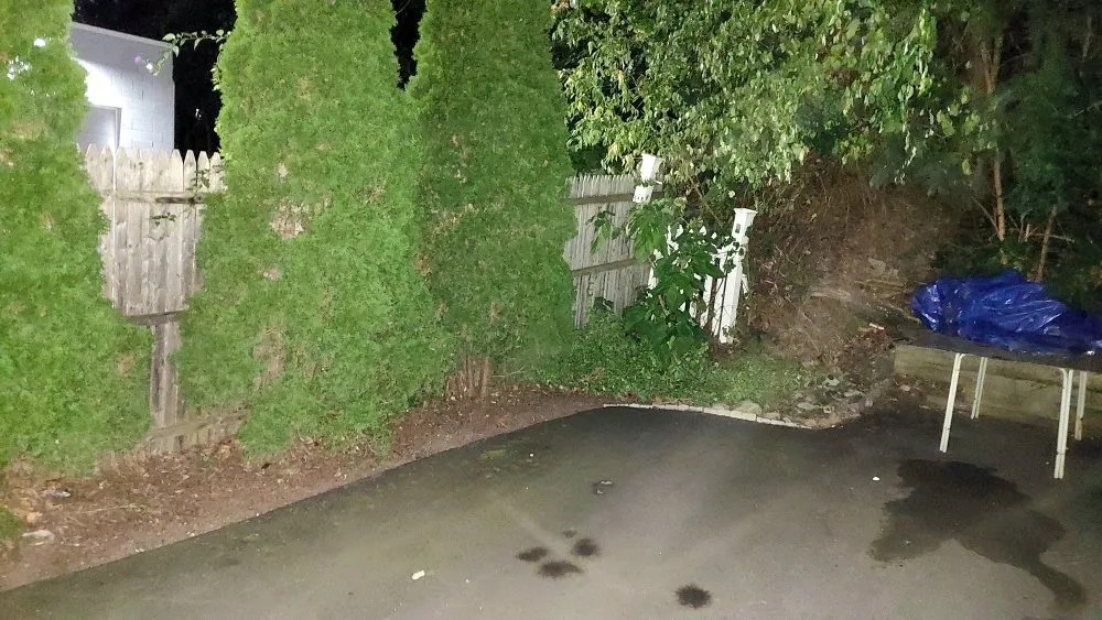 Affordable outdoor landscaping in Providence, RI by Bencosme Landscaping