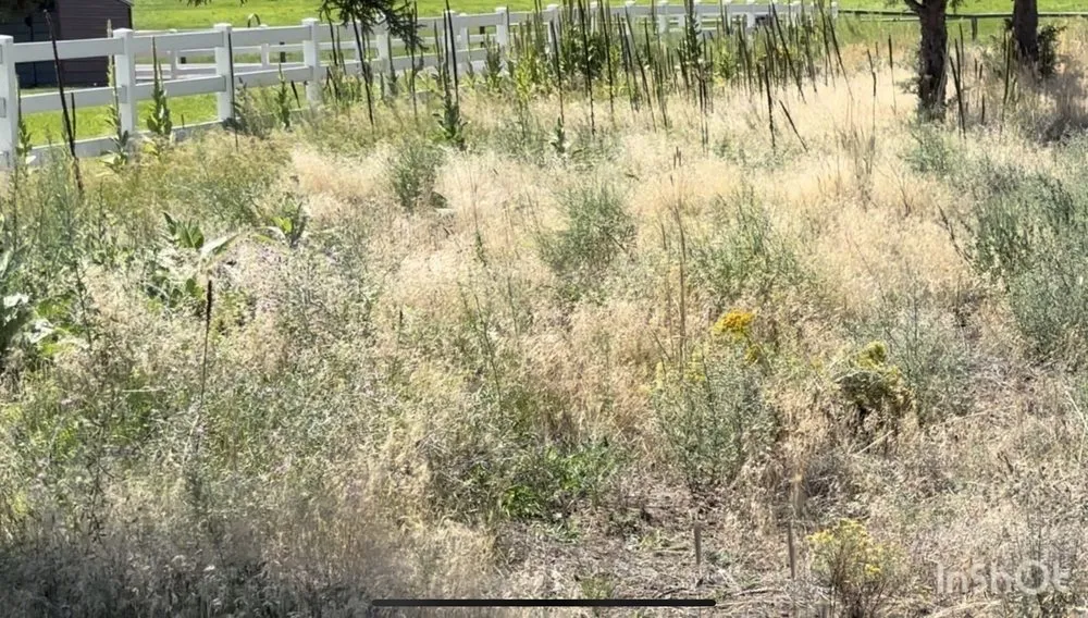 Affordable landscape installation near you in Bend, OR by Bend Oregon Desert Scapes