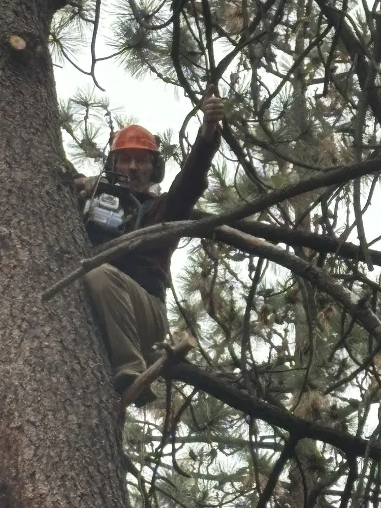 Top-rated yard maintenance for homes across Bend, OR - Bend Oregon Desert Scapes
