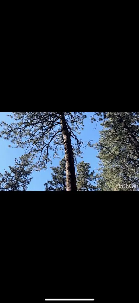 Trusted yard cleanup service for outdoor upgrades across Bend, OR - Bend Oregon Desert Scapes