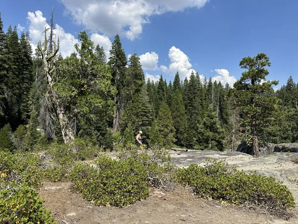 Expert yard maintenance in Bend, OR - Bend Oregon Desert Scapes