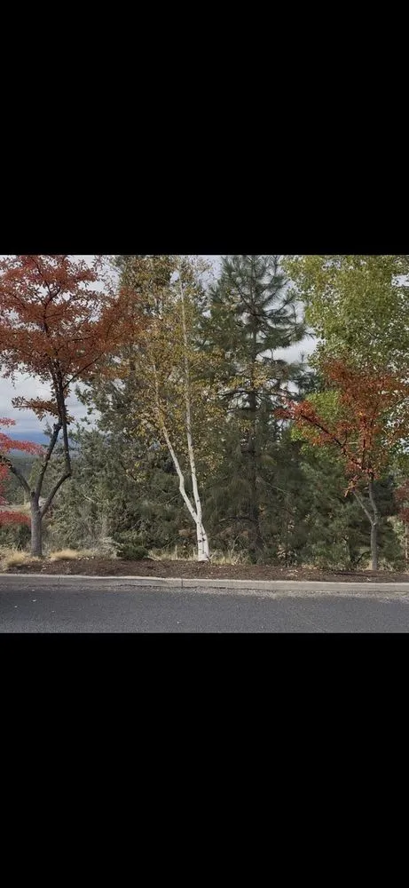 Local lawn care service in Bend, OR by Bend Oregon Desert Scapes