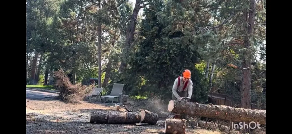 Reliable landscape installation for year-round maintenance in Bend, OR by Bend Oregon Desert Scapes