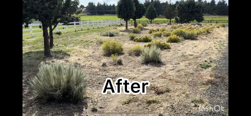 Custom landscape installation experts serving Bend, OR - Bend Oregon Desert Scapes