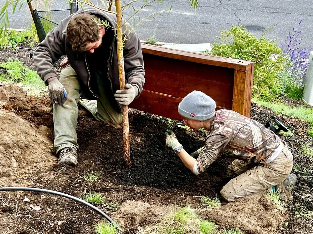Trusted yard cleanup service in Bend, OR by Bend Pine Nursery
