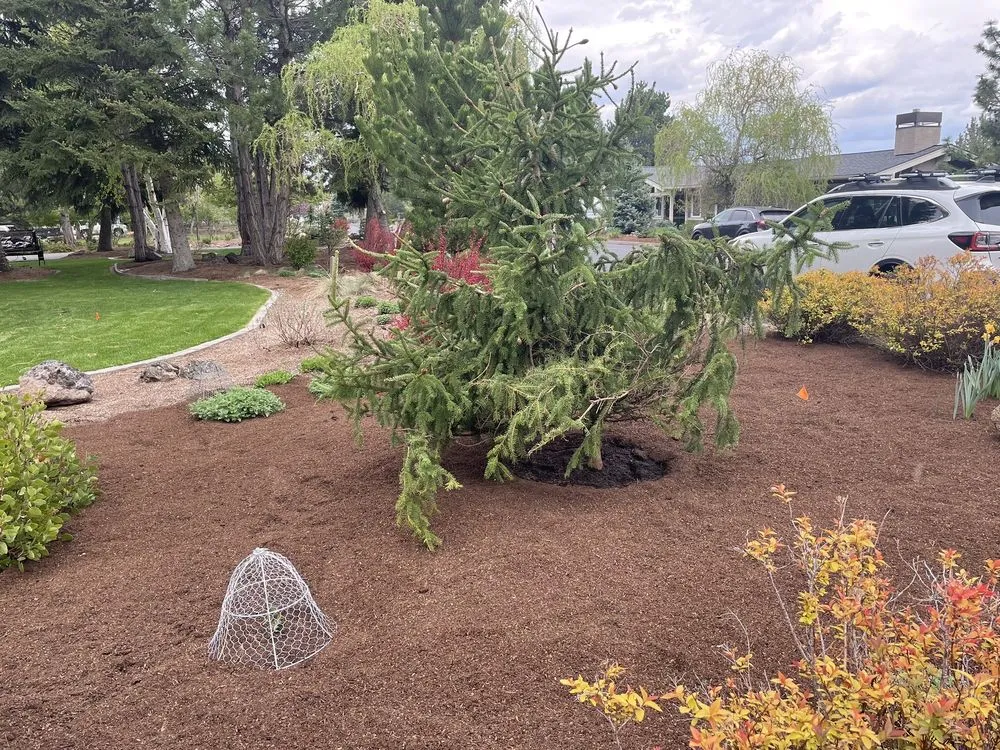 Top-rated landscape design for homes across Bend, OR - Bend Pine Nursery