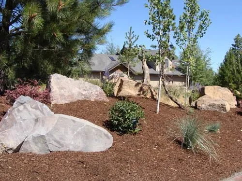 Expert lawn care service in Bend, OR - Bend Pine Nursery